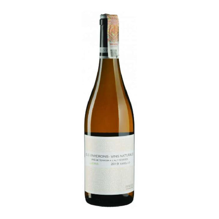 Lluerna - Els Vinyerons / Sin Project - Amós Bañeres Merinero & Alex Ruiz Masachs 