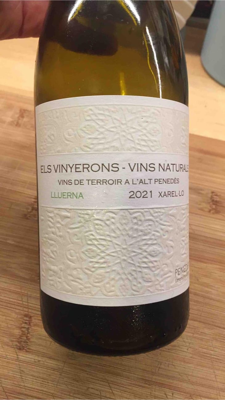 Lluerna - Els Vinyerons / Sin Project - Amós Bañeres Merinero & Alex Ruiz Masachs 