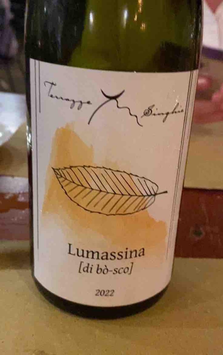Lumassina - Terrazze Singhie - Sara Polo & Mauro Migliavacca 