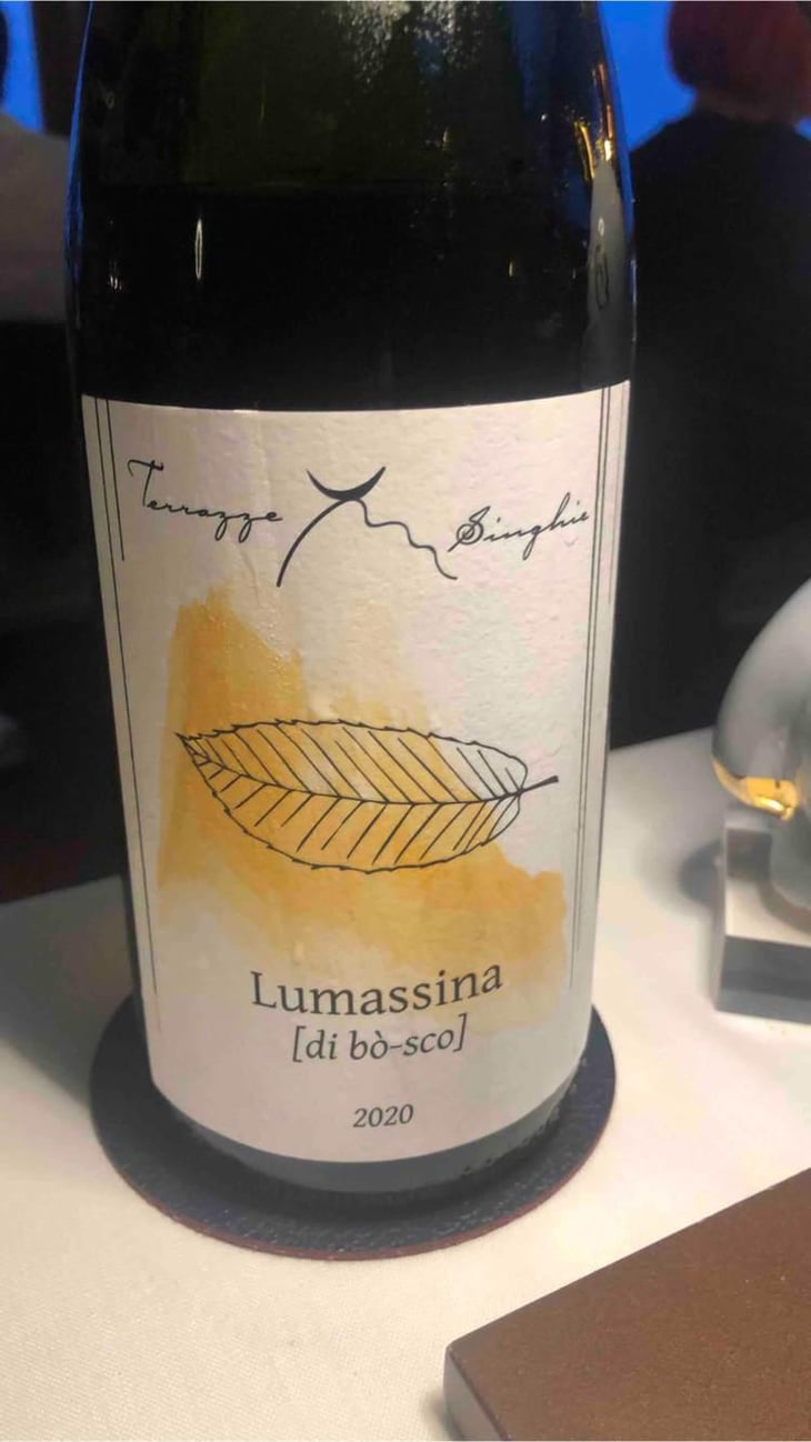 Lumassina - Terrazze Singhie - Sara Polo & Mauro Migliavacca 