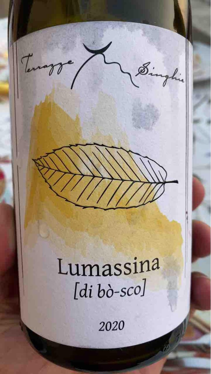 Lumassina - Terrazze Singhie - Sara Polo & Mauro Migliavacca 