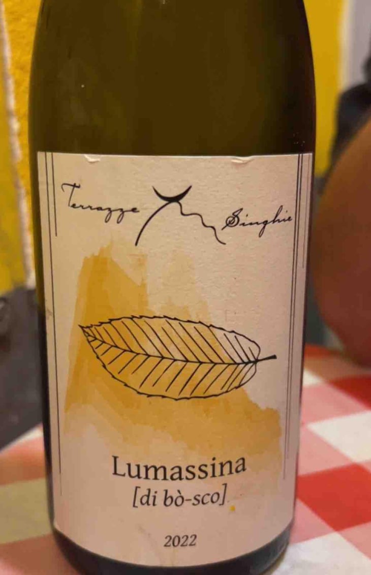 Lumassina - Terrazze Singhie - Sara Polo & Mauro Migliavacca 