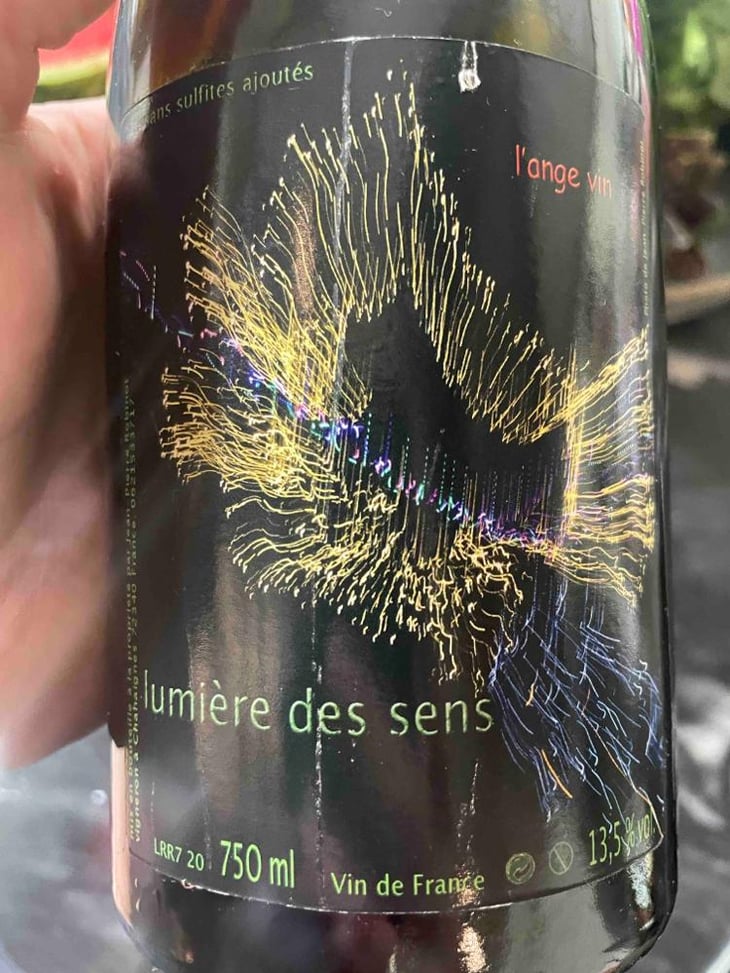 Lumière des Sens - Les Vignes de l'Angevin - Jean-Pierre Robinot 
