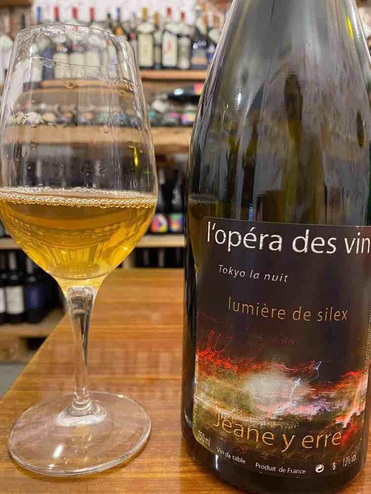 Lumière de Silex - Les Vignes de l'Angevin - Jean-Pierre Robinot 