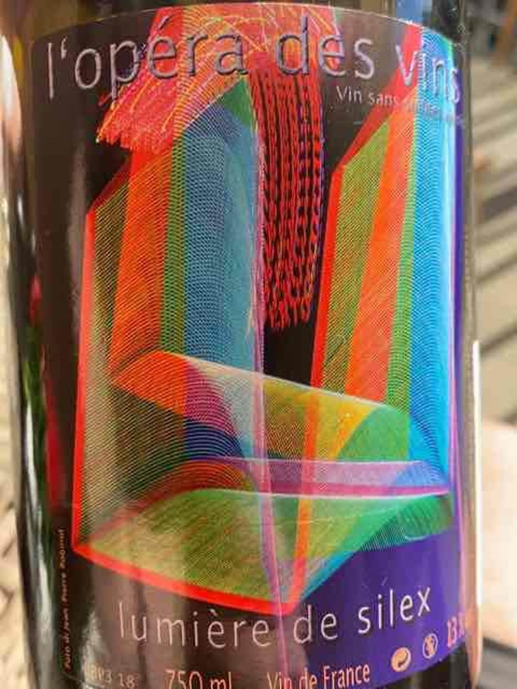 Lumière de Silex - Les Vignes de l'Angevin - Jean-Pierre Robinot 
