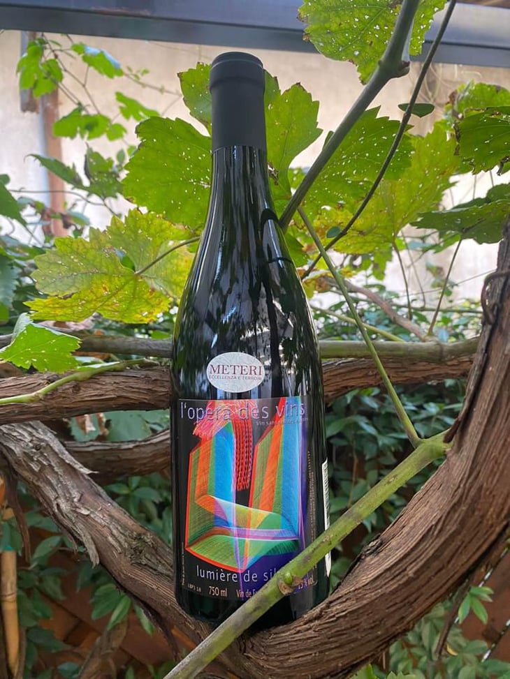 Lumière de Silex - Les Vignes de l'Angevin - Jean-Pierre Robinot 