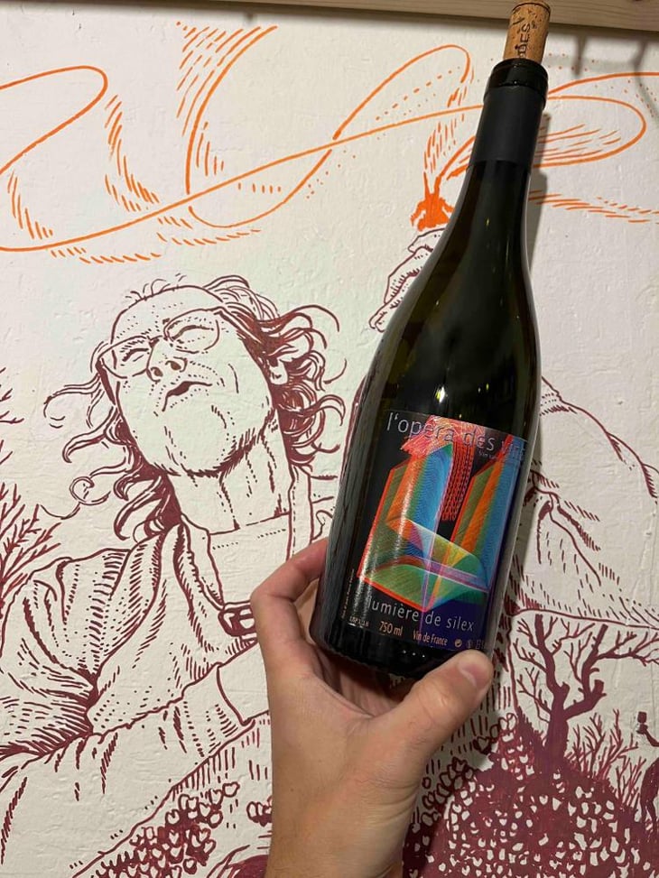 Lumière de Silex - Les Vignes de l'Angevin - Jean-Pierre Robinot 