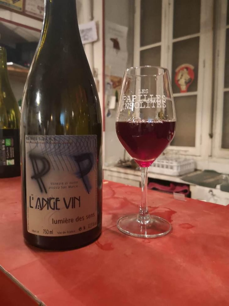 Lumière des Sens - Les Vignes de l'Angevin - Jean-Pierre Robinot 