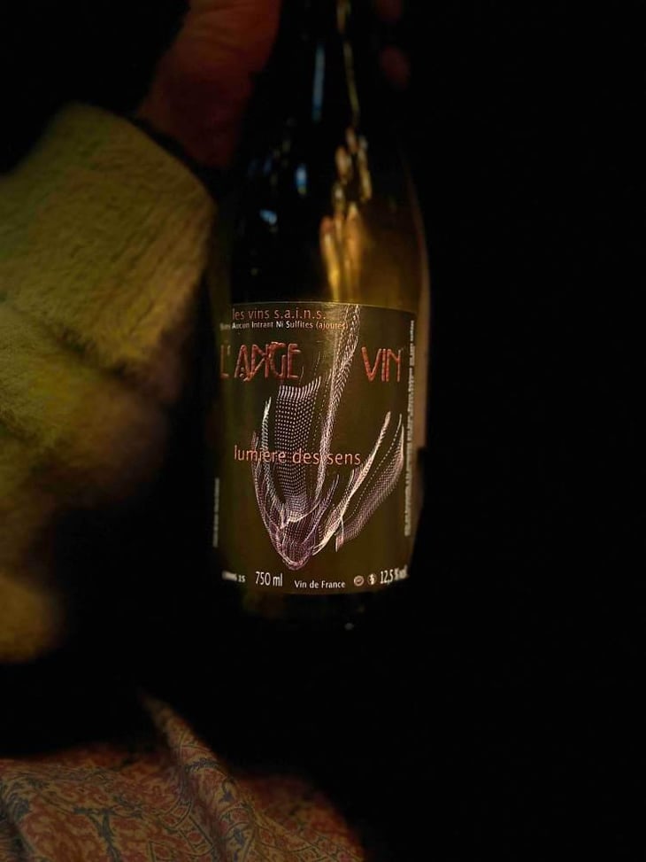 Lumière des Sens - Les Vignes de l'Angevin - Jean-Pierre Robinot 