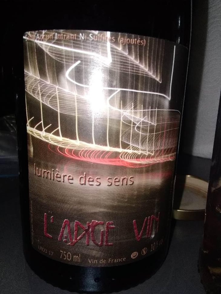 Lumière des Sens - Les Vignes de l'Angevin - Jean-Pierre Robinot 