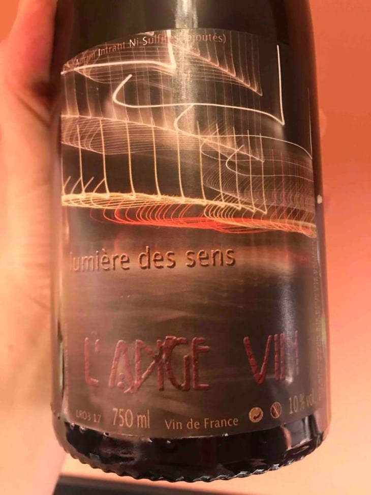 Lumière des Sens - Les Vignes de l'Angevin - Jean-Pierre Robinot 