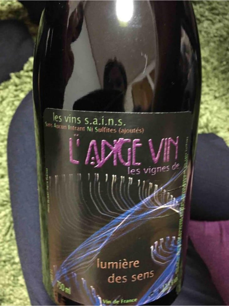 Lumière des Sens - Les Vignes de l'Angevin - Jean-Pierre Robinot 