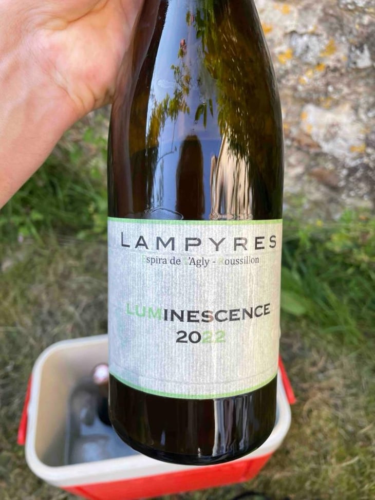 Luminescence - Domaine Lampyres - François-Xavier Dauré -2020