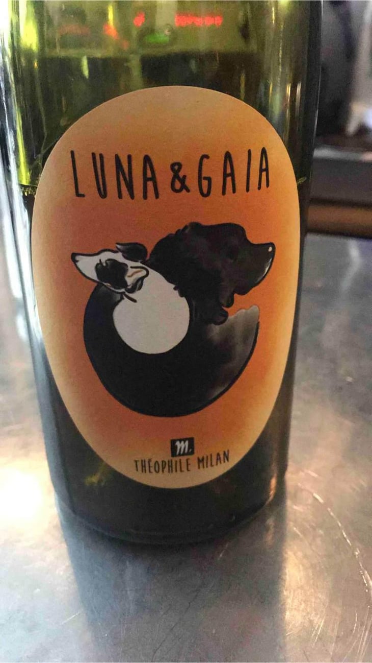 Luna & Gaia - Domaine Milan - Emma, Théophile & Henri Milan 