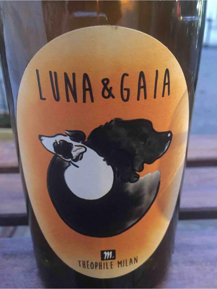 Luna & Gaia - Domaine Milan - Emma, Théophile & Henri Milan 