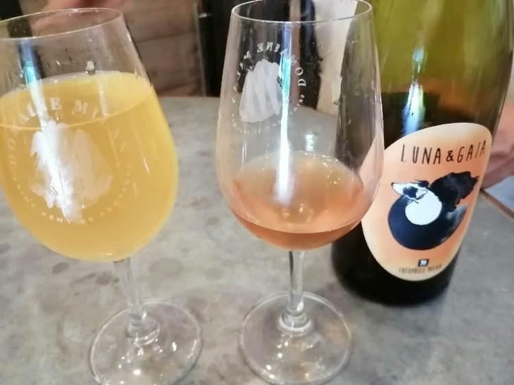 Luna & Gaia - Domaine Milan - Emma, Théophile & Henri Milan 