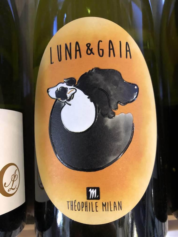 Luna & Gaia - Domaine Milan - Emma, Théophile & Henri Milan 