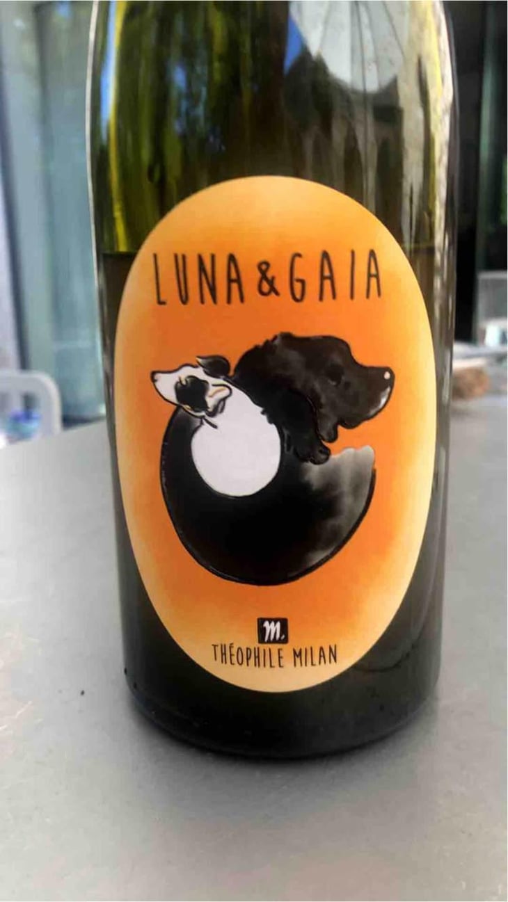 Luna & Gaia - Domaine Milan - Emma, Théophile & Henri Milan 