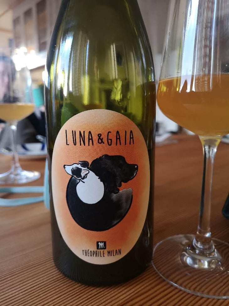 Luna & Gaia - Domaine Milan - Emma, Théophile & Henri Milan 