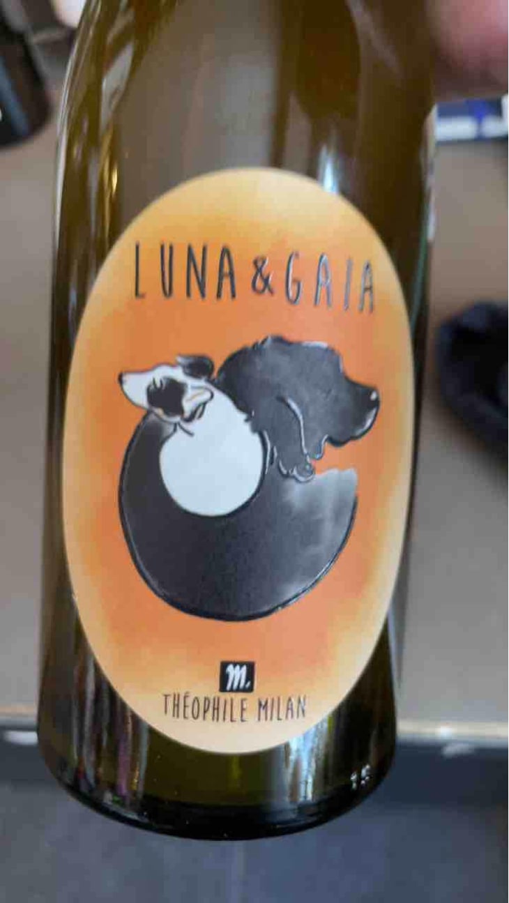Luna & Gaia - Domaine Milan - Emma, Théophile & Henri Milan 