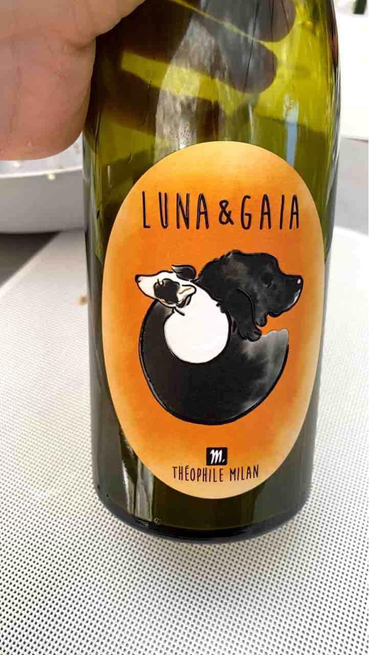 Luna & Gaia - Domaine Milan - Emma, Théophile & Henri Milan 