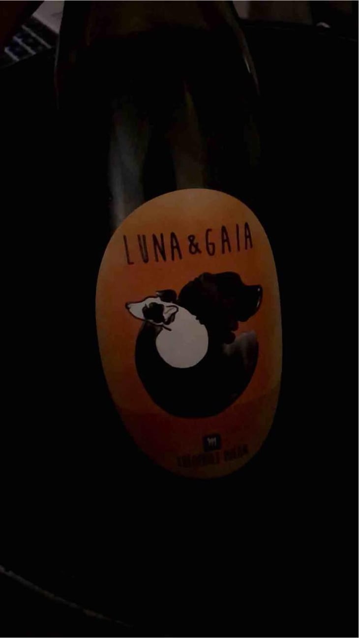 Luna & Gaia - Domaine Milan - Emma, Théophile & Henri Milan 