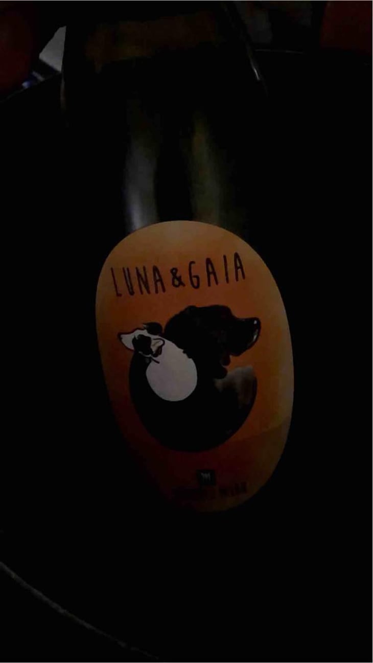 Luna & Gaia - Domaine Milan - Emma, Théophile & Henri Milan 