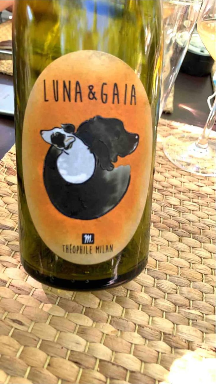 Luna & Gaia - Domaine Milan - Emma, Théophile & Henri Milan 