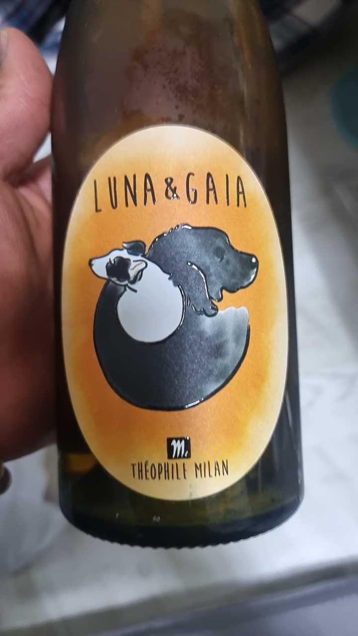 Luna & Gaia - Domaine Milan - Emma, Théophile & Henri Milan 