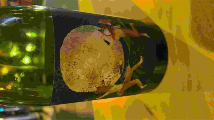 Luna Llena - Alex Craighead Wines - Don & Kindeli Wines - Alex Craighead & Josefina Venturino 