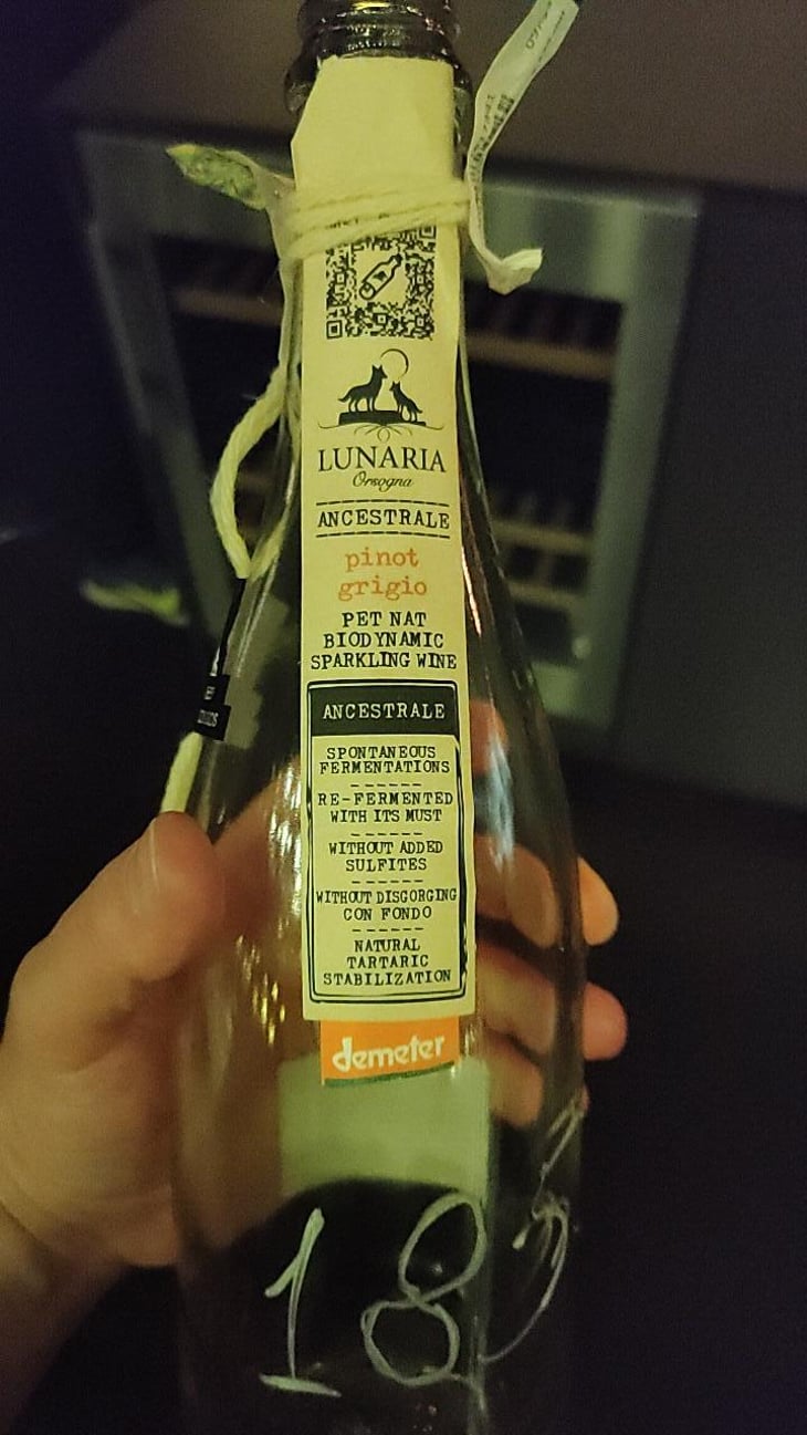Lunaria Pinot Grigio - Cantina Orsogna - Cantina Orsogna 