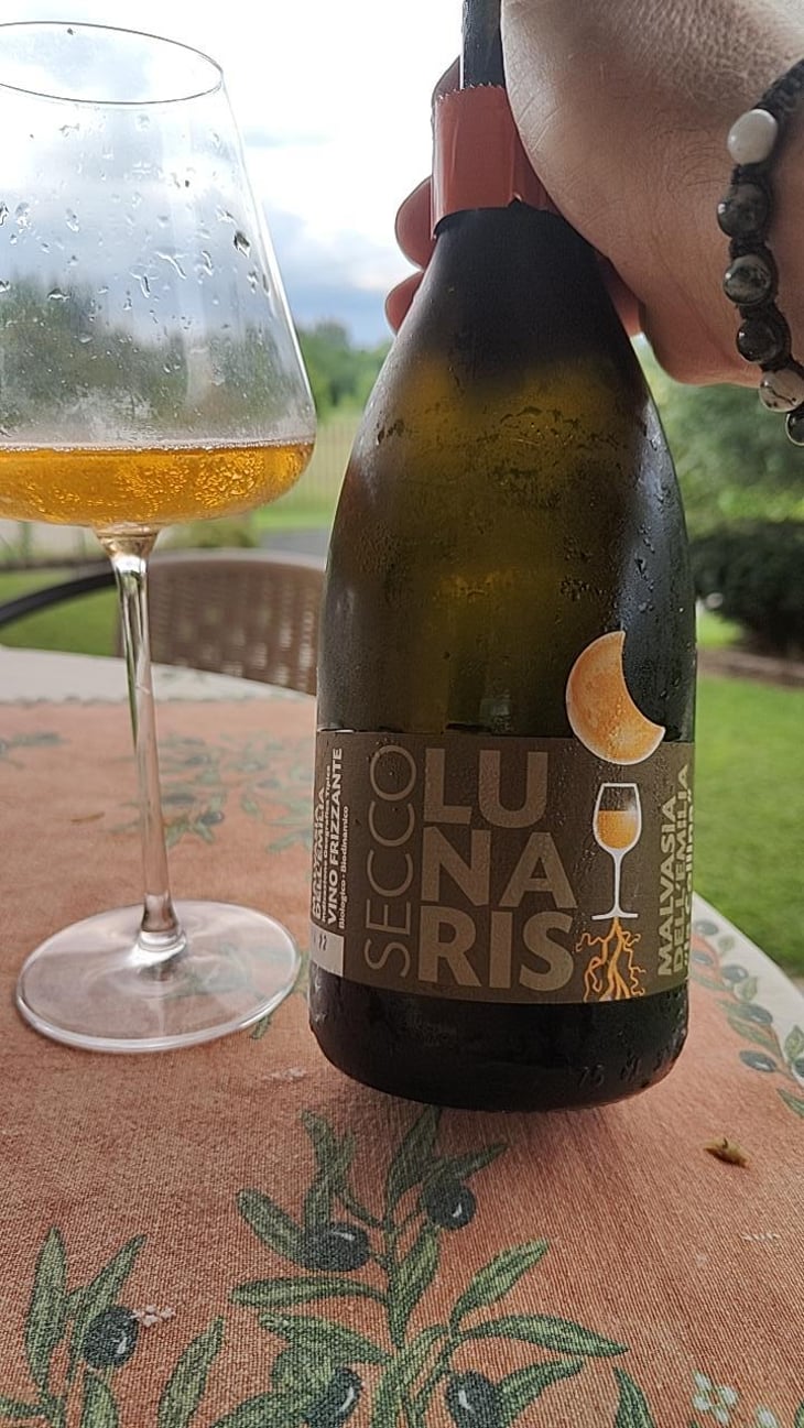 Lunaris Secco - Cooperativa Agricola La Collina - Enea Burani 