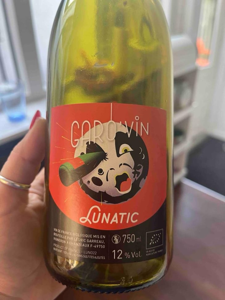 Lunatic - Garo'vin - Cédric Garreau 