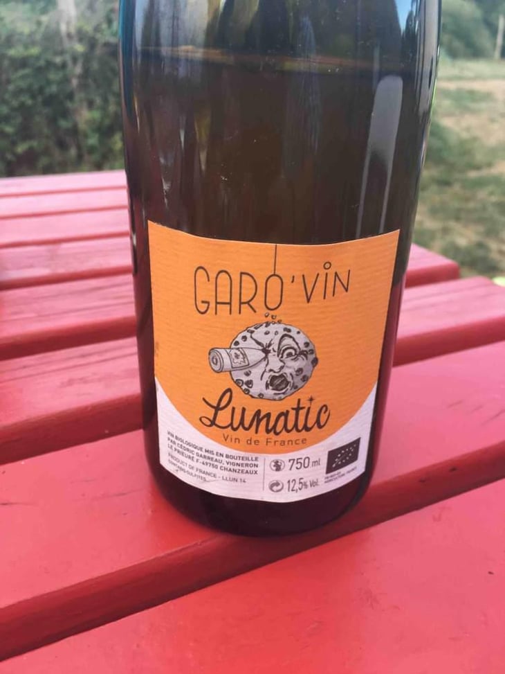 Lunatic - Garo'vin - Cédric Garreau 