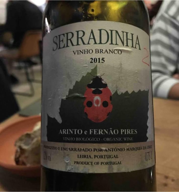 Baga - Quinta da Serradinha - António Marques da Cruz 