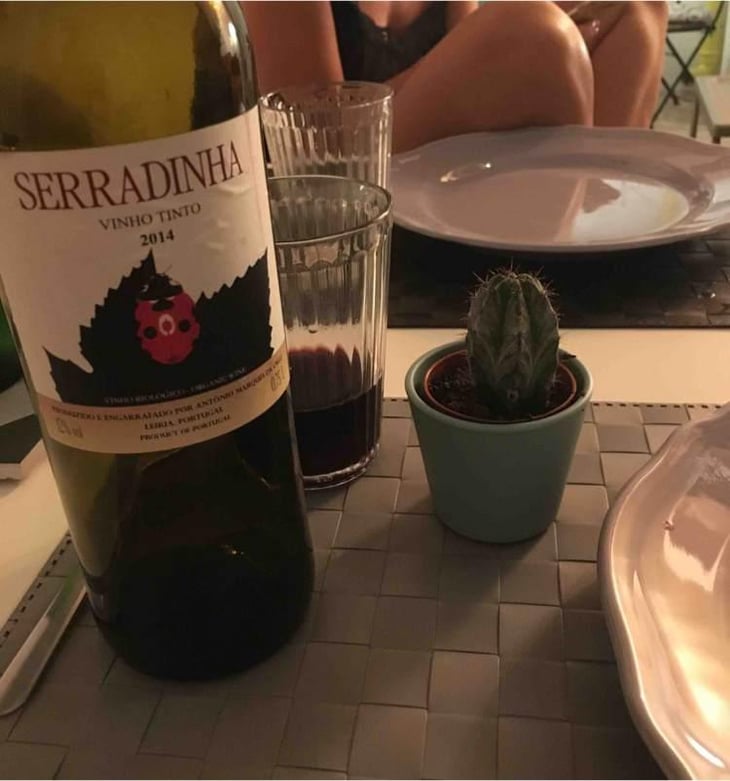 Baga - Quinta da Serradinha - António Marques da Cruz 