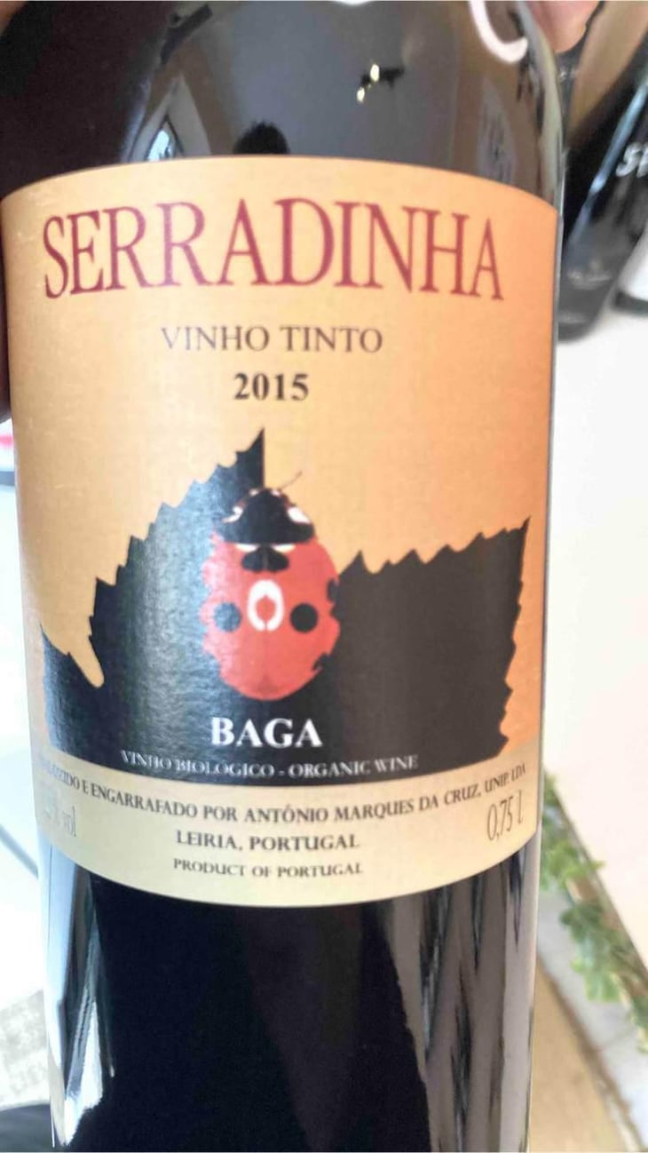Baga - Quinta da Serradinha - António Marques da Cruz 