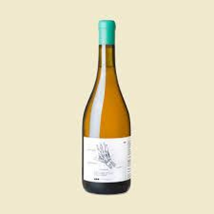Mà de Mas Perdut - Finca Mas Perdut - Josep i Rebeca 