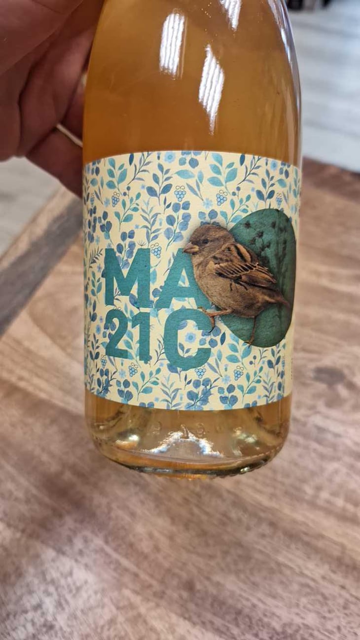 Mac21 - Casa Pardet - Josep Torres -2021