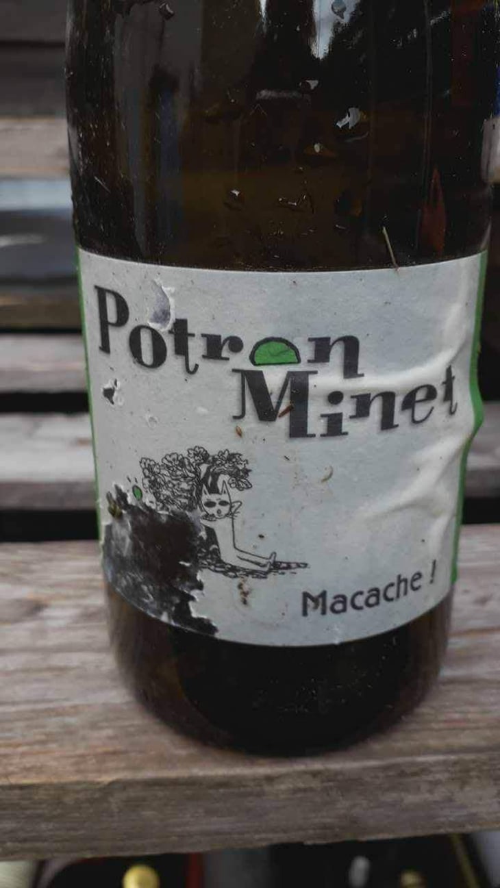 Macache - Potron Minet - Jean-Sébastien Gioan 