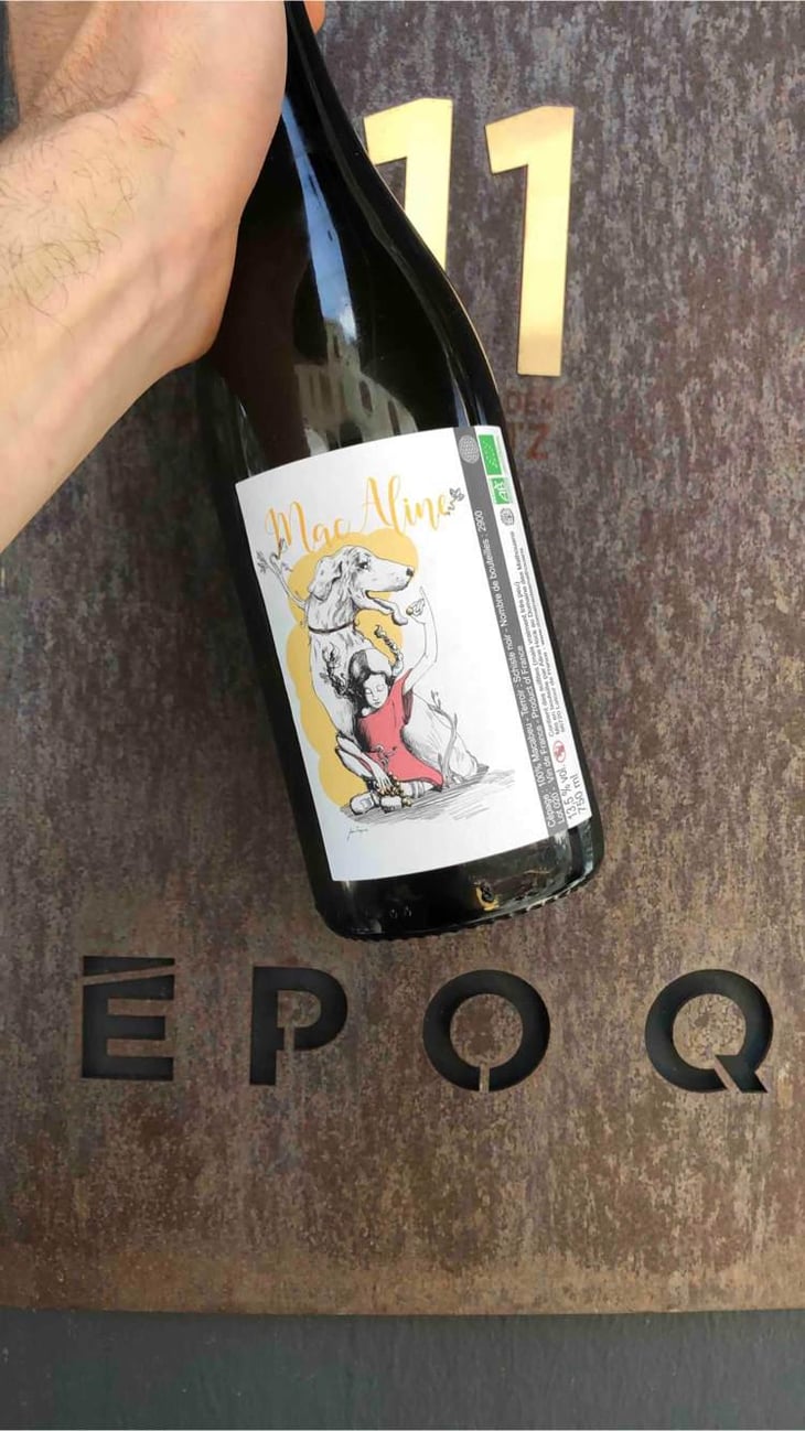 MacAline - Domaine des Mathouans - Aline Hock 
