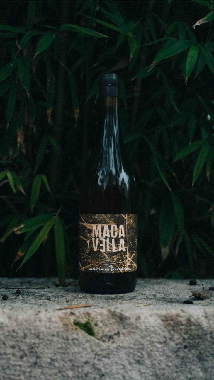 Macavella - Nuria Renom - Nuria Renom Suárez -2021