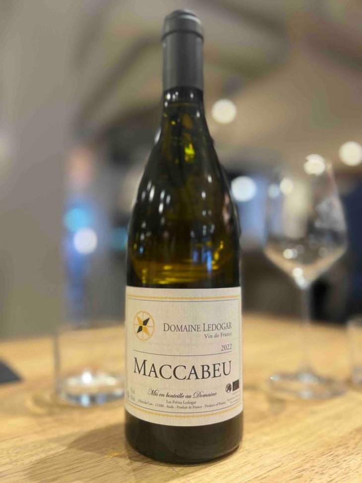 Petite Mélancolie - Domaine Ledogar - Xavier, Mathieu & Benoît Ledogar -2024