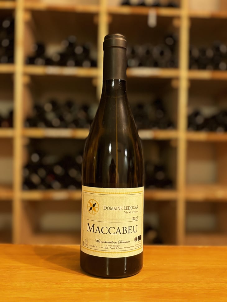 Petite Mélancolie - Domaine Ledogar - Xavier, Mathieu & Benoît Ledogar -2024