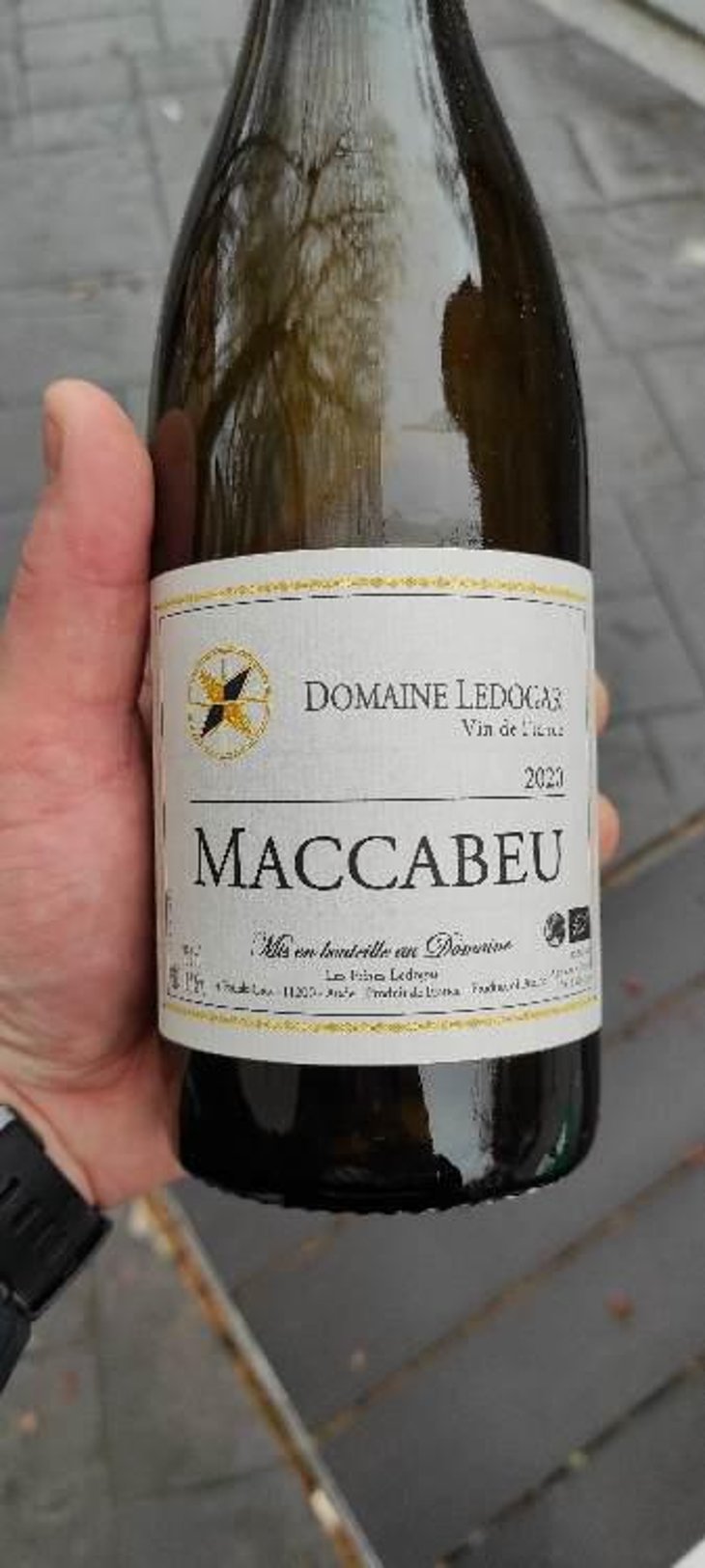 Petite Mélancolie - Domaine Ledogar - Xavier, Mathieu & Benoît Ledogar -2024