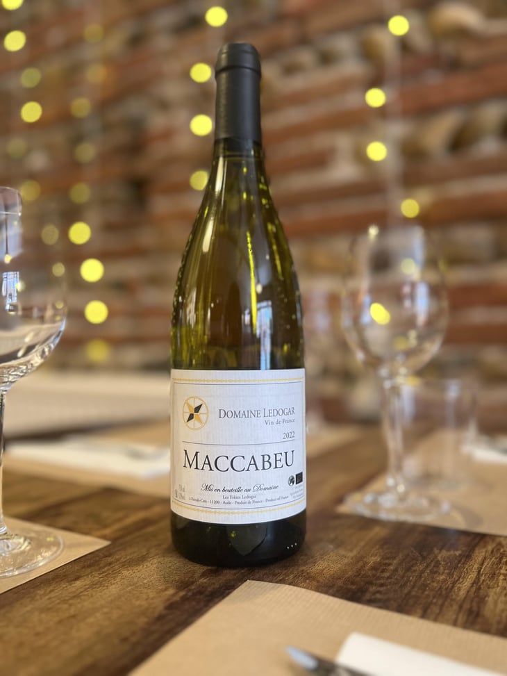 Petite Mélancolie - Domaine Ledogar - Xavier, Mathieu & Benoît Ledogar -2024