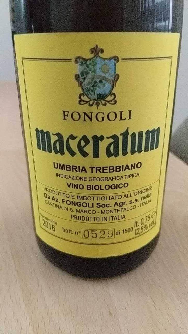 Maceratum - Fongoli - Angelo Fongoli 