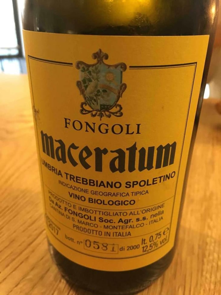 Maceratum - Fongoli - Angelo Fongoli 