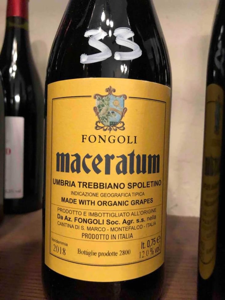 Maceratum - Fongoli - Angelo Fongoli 