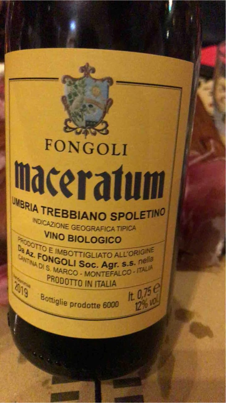 Maceratum - Fongoli - Angelo Fongoli 